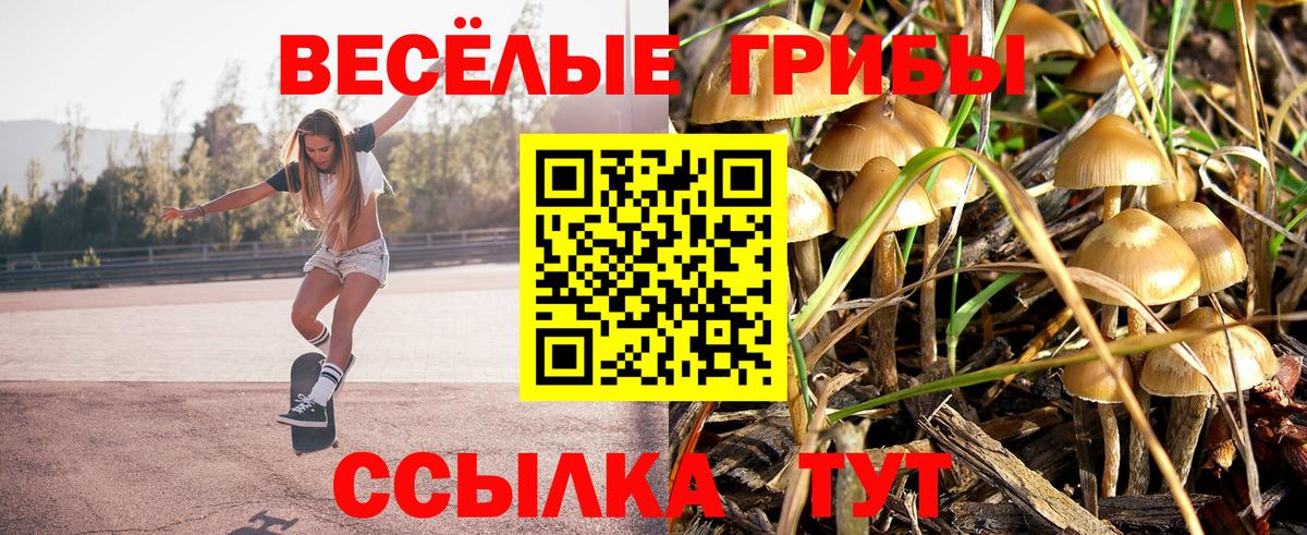 Ефремов  Галлюциногенные грибы мицелий  Галлюциногенные грибы прущие грибы  Вход с VPN 