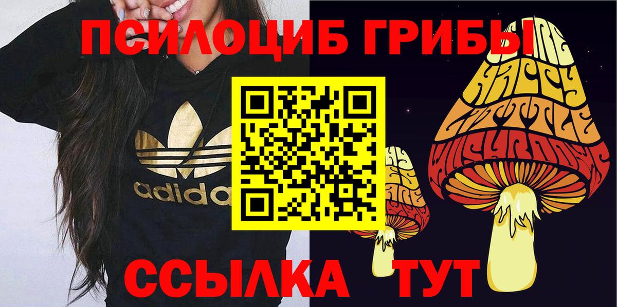 Псилоцибиновые грибы ЛСД Ефремов